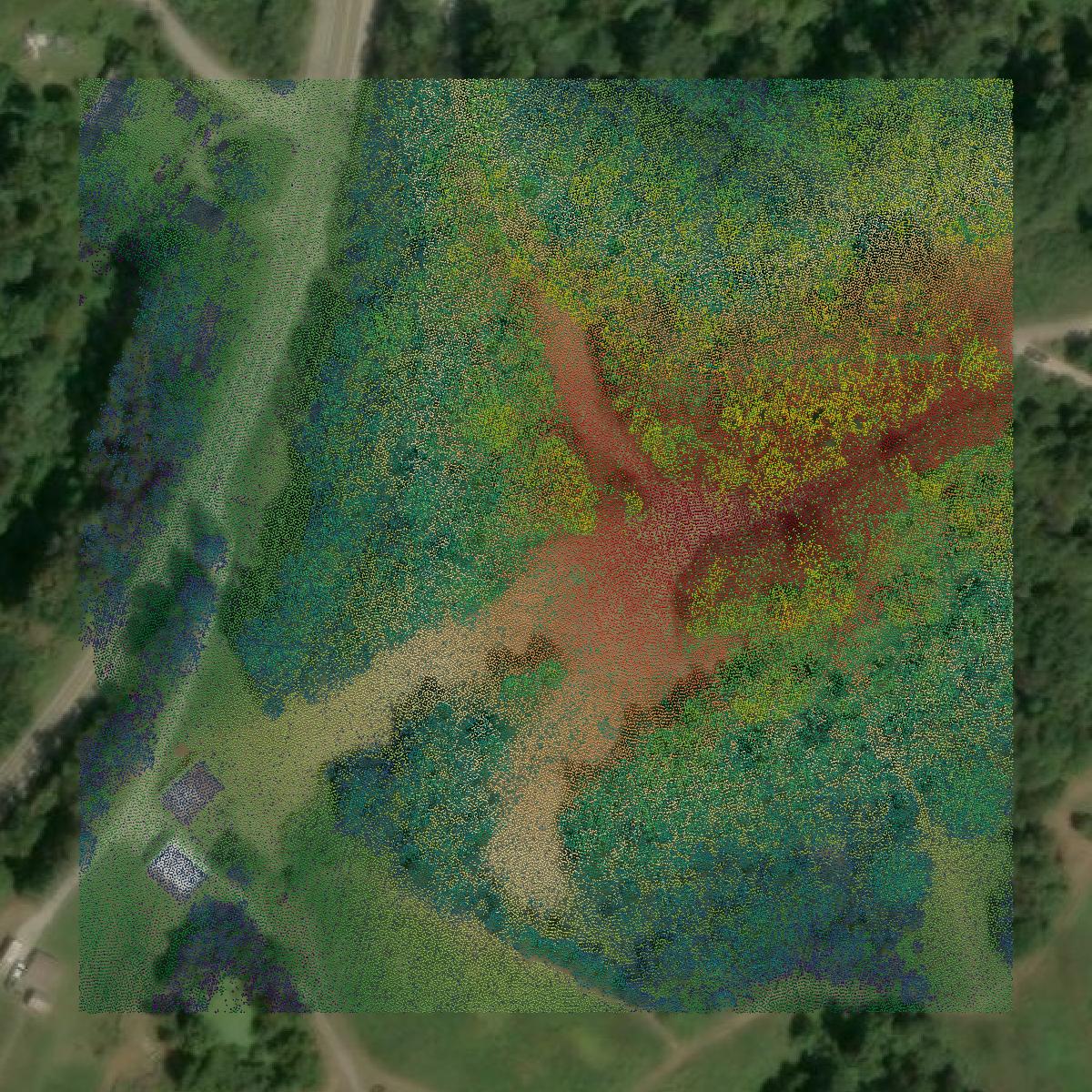 This image shows a LiDAR point cloud in Jackson County created using GIS data in Equator.
