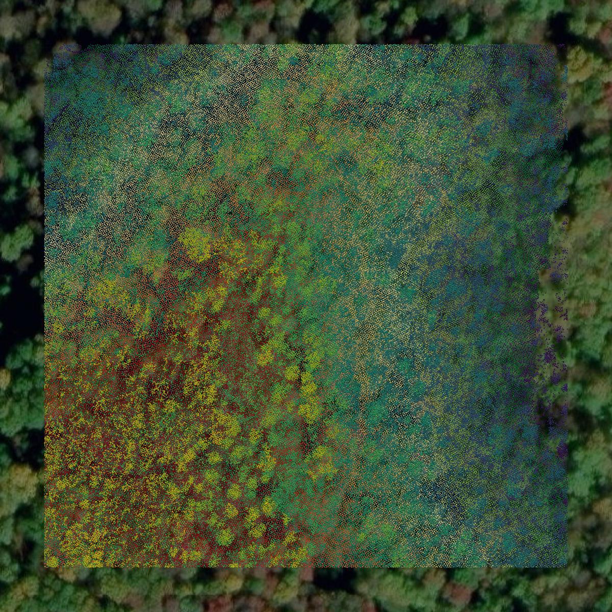 This image shows a LiDAR point cloud in Kanawha County created using GIS data in Equator.