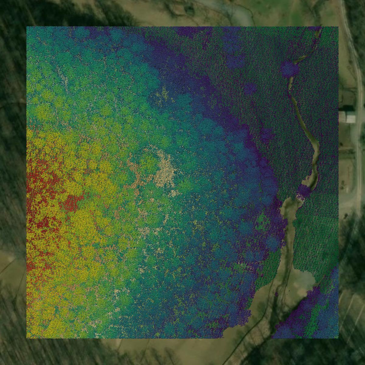 This image shows a LiDAR point cloud in Lewis County created using GIS data in Equator.
