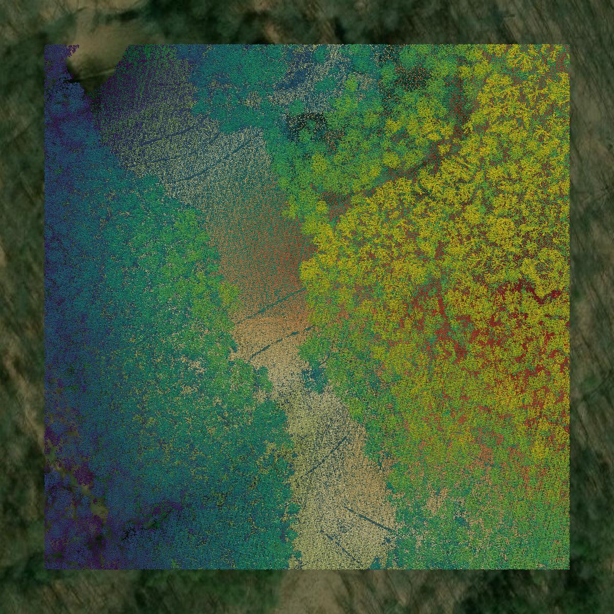 This image shows a LiDAR point cloud in Lewis County created using GIS data in Equator.