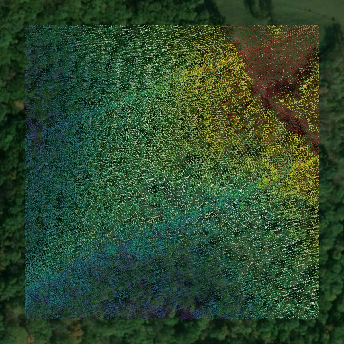 This image shows a LiDAR point cloud in Lincoln County created using GIS data in Equator.