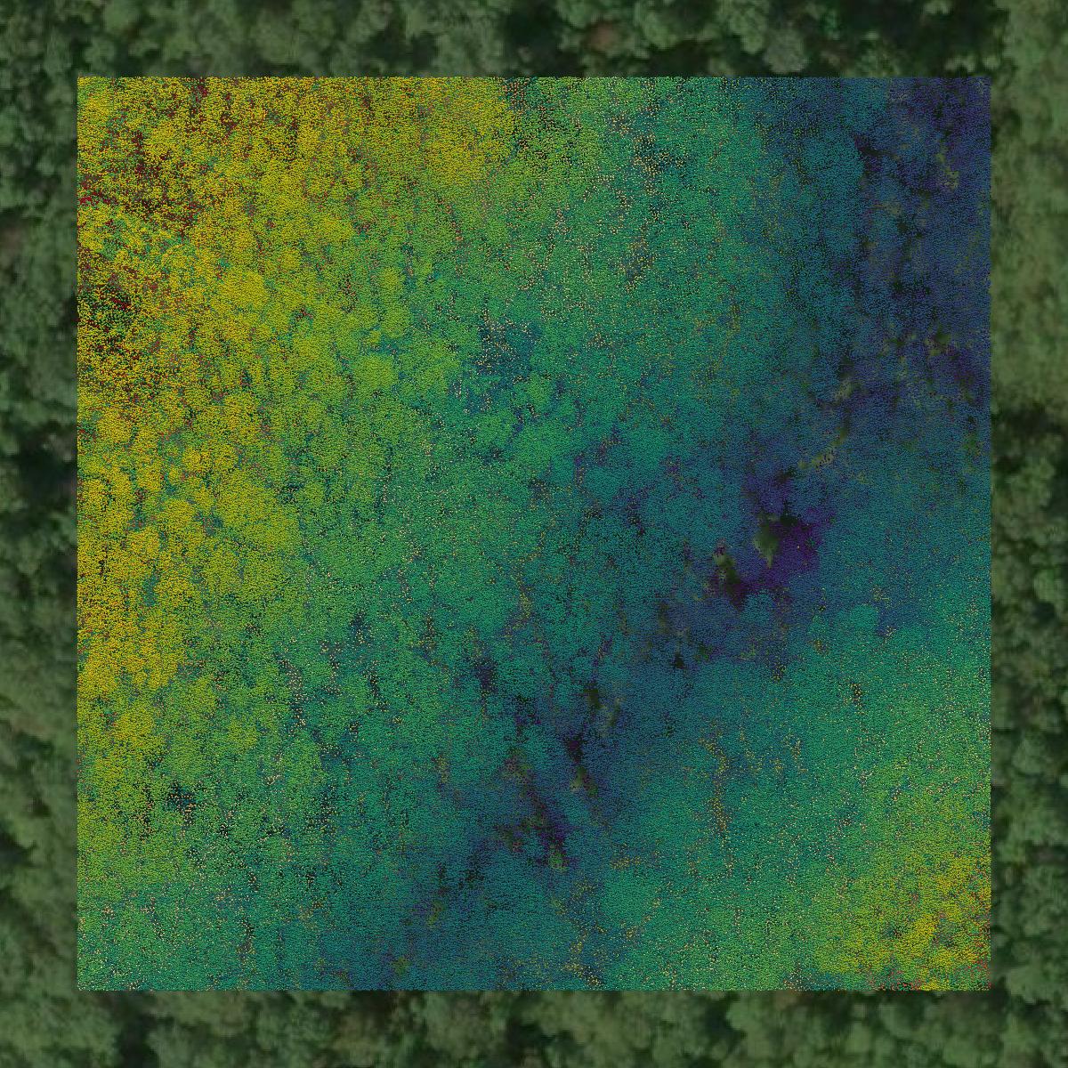 This image shows a LiDAR point cloud in Lincoln County created using GIS data in Equator.