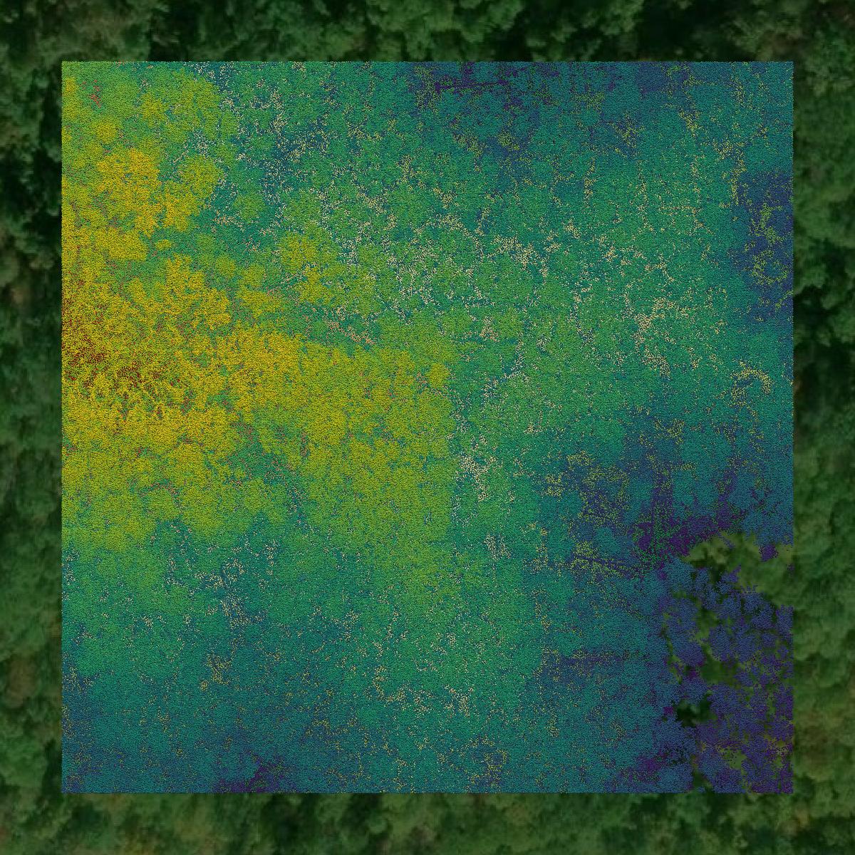 This image shows a LiDAR point cloud in Logan County created using GIS data in Equator.