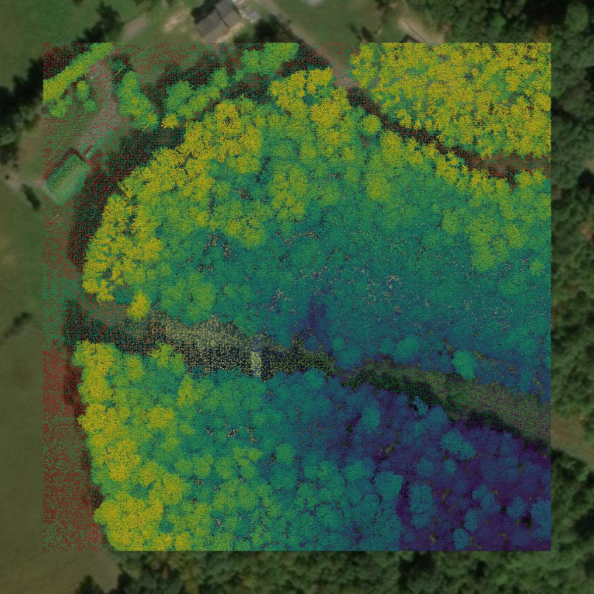 This image shows a LiDAR point cloud in Marion County created using GIS data in Equator.
