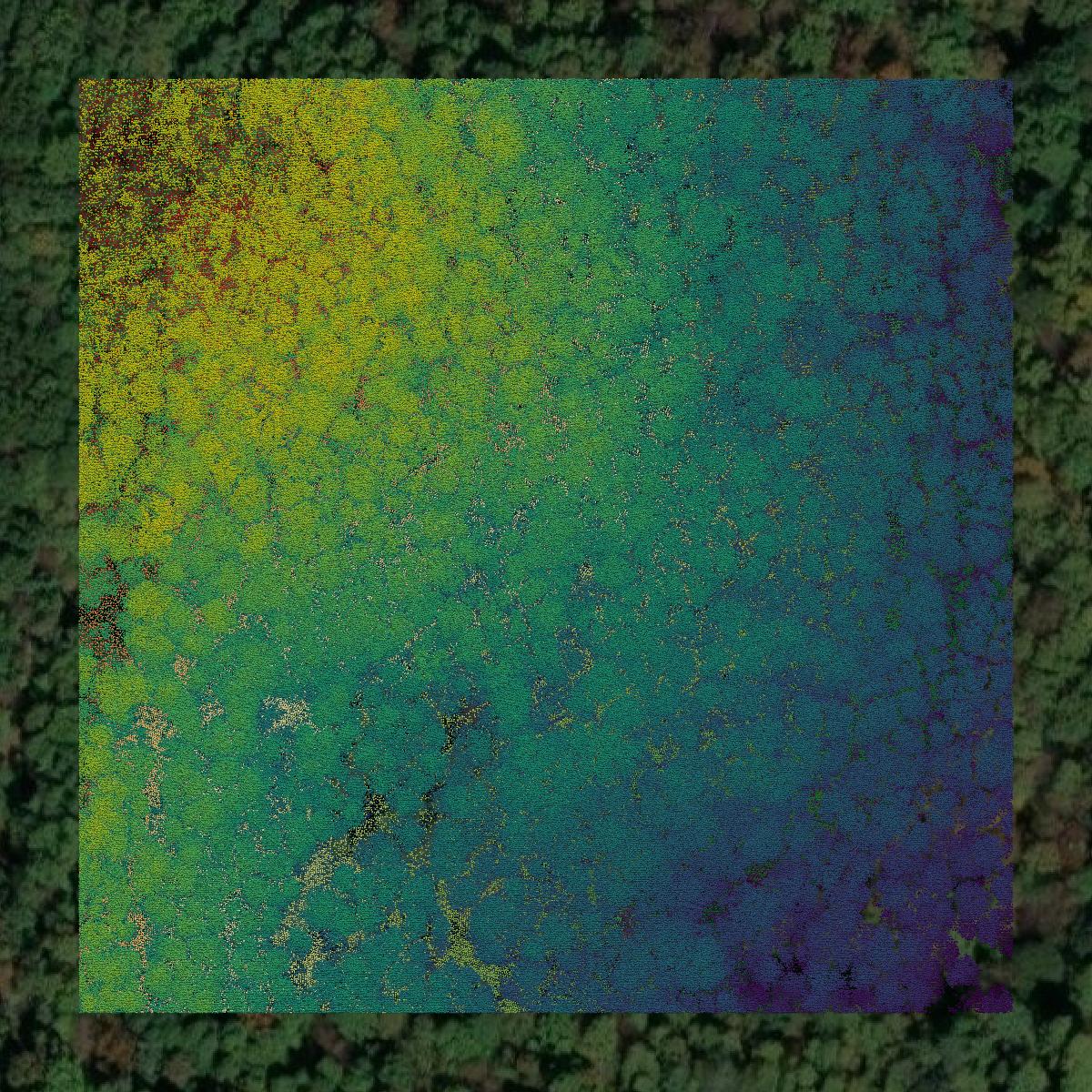 This image shows a LiDAR point cloud in Marion County created using GIS data in Equator.