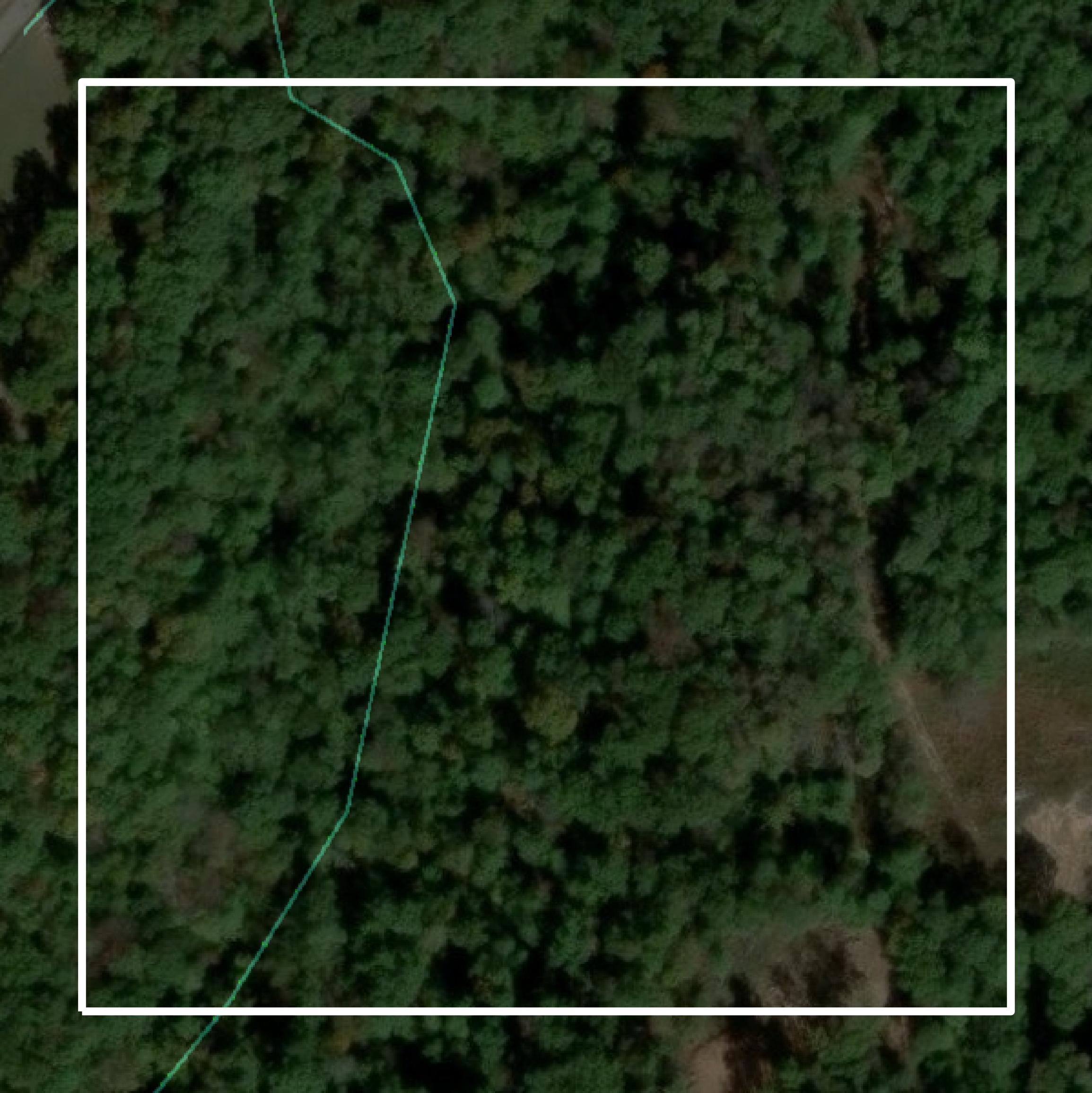 This image shows parcel and building data in Mason County created using GIS data in Equator.