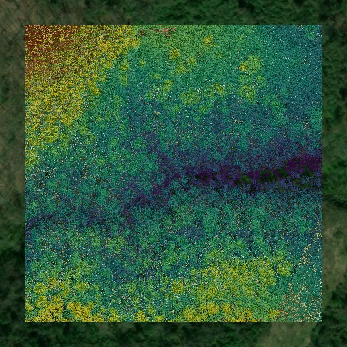 This image shows a LiDAR point cloud in Mason County created using GIS data in Equator.