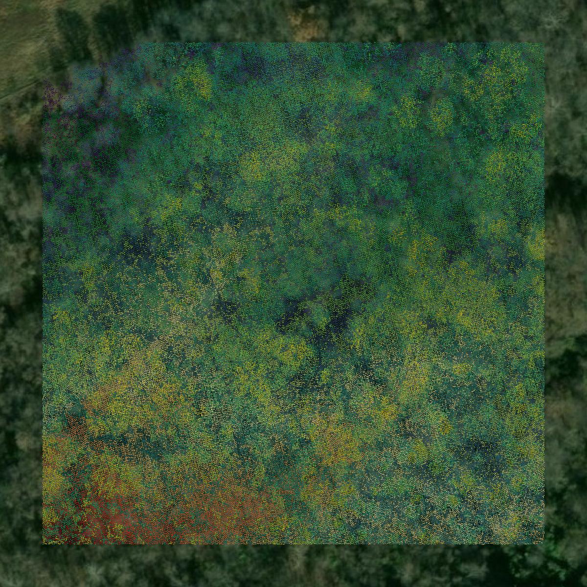 This image shows a LiDAR point cloud in Mason County created using GIS data in Equator.