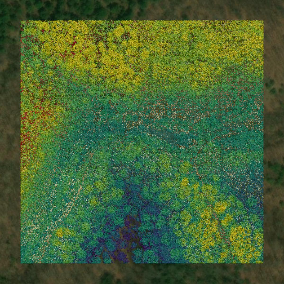 This image shows a LiDAR point cloud in McDowell County created using GIS data in Equator.
