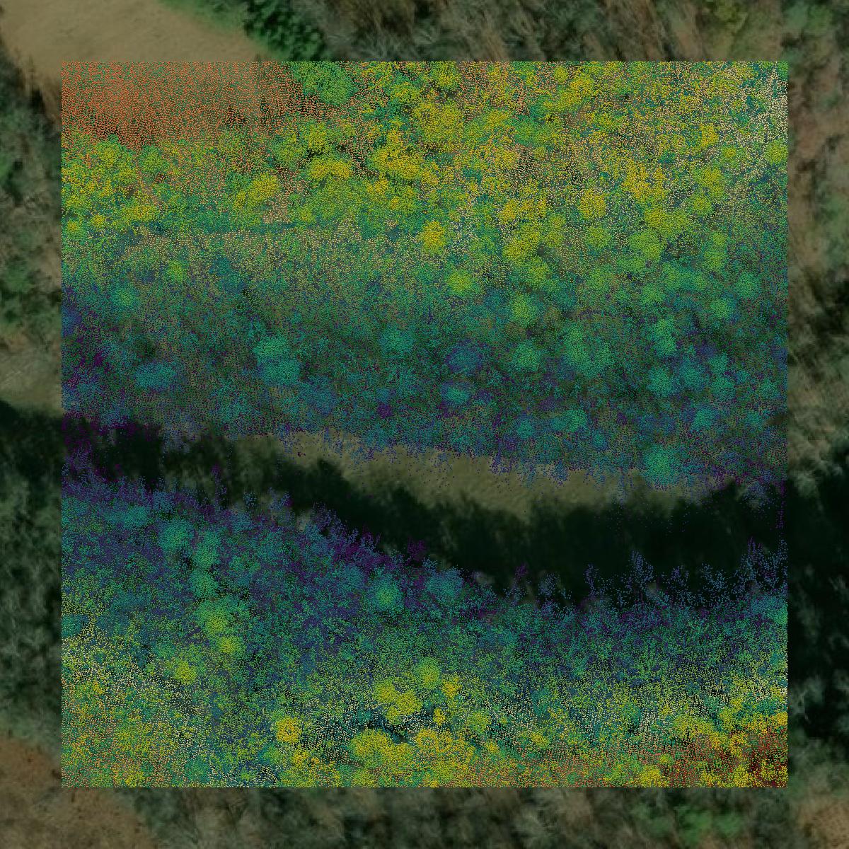 This image shows a LiDAR point cloud in Mercer County created using GIS data in Equator.