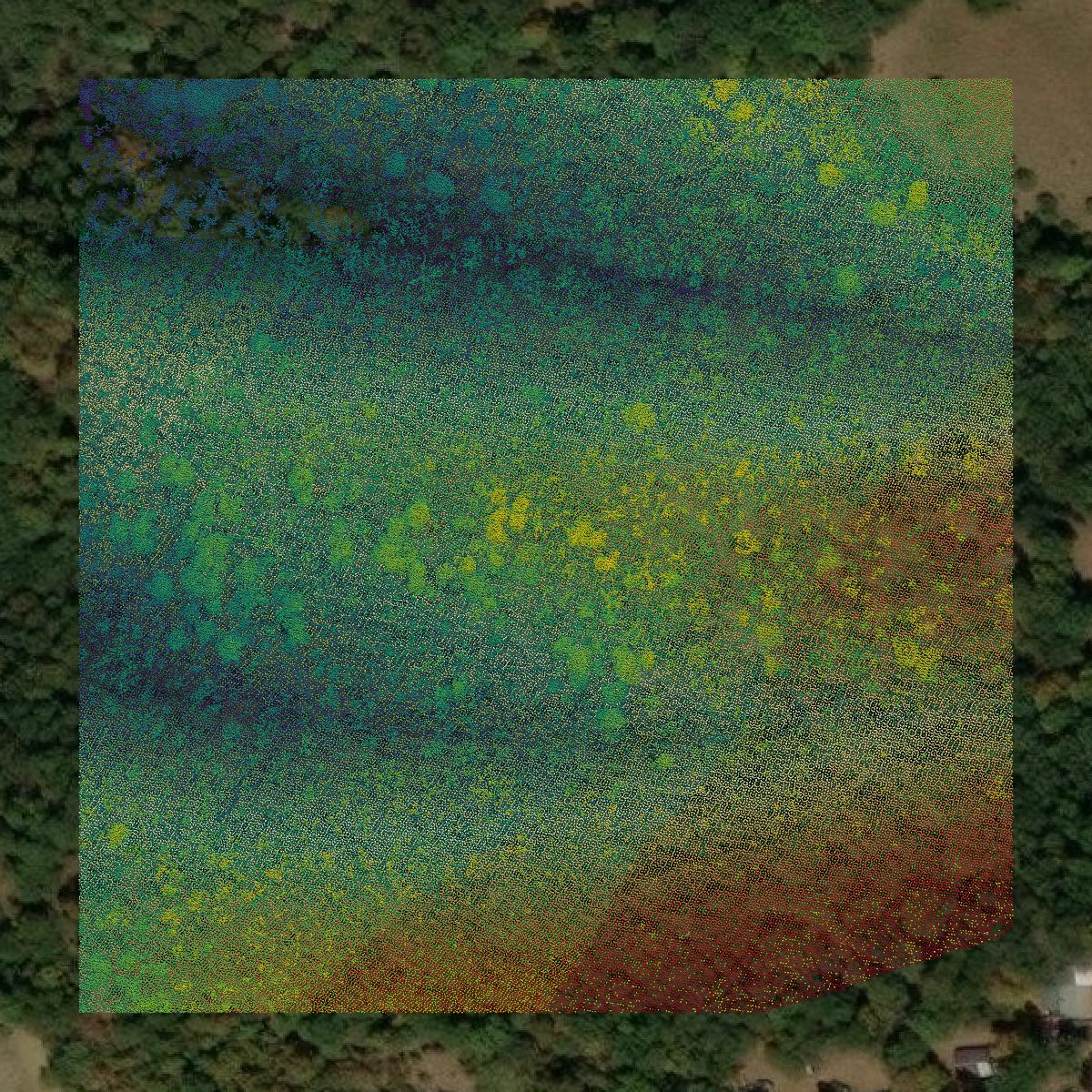 This image shows a LiDAR point cloud in Mineral County created using GIS data in Equator.