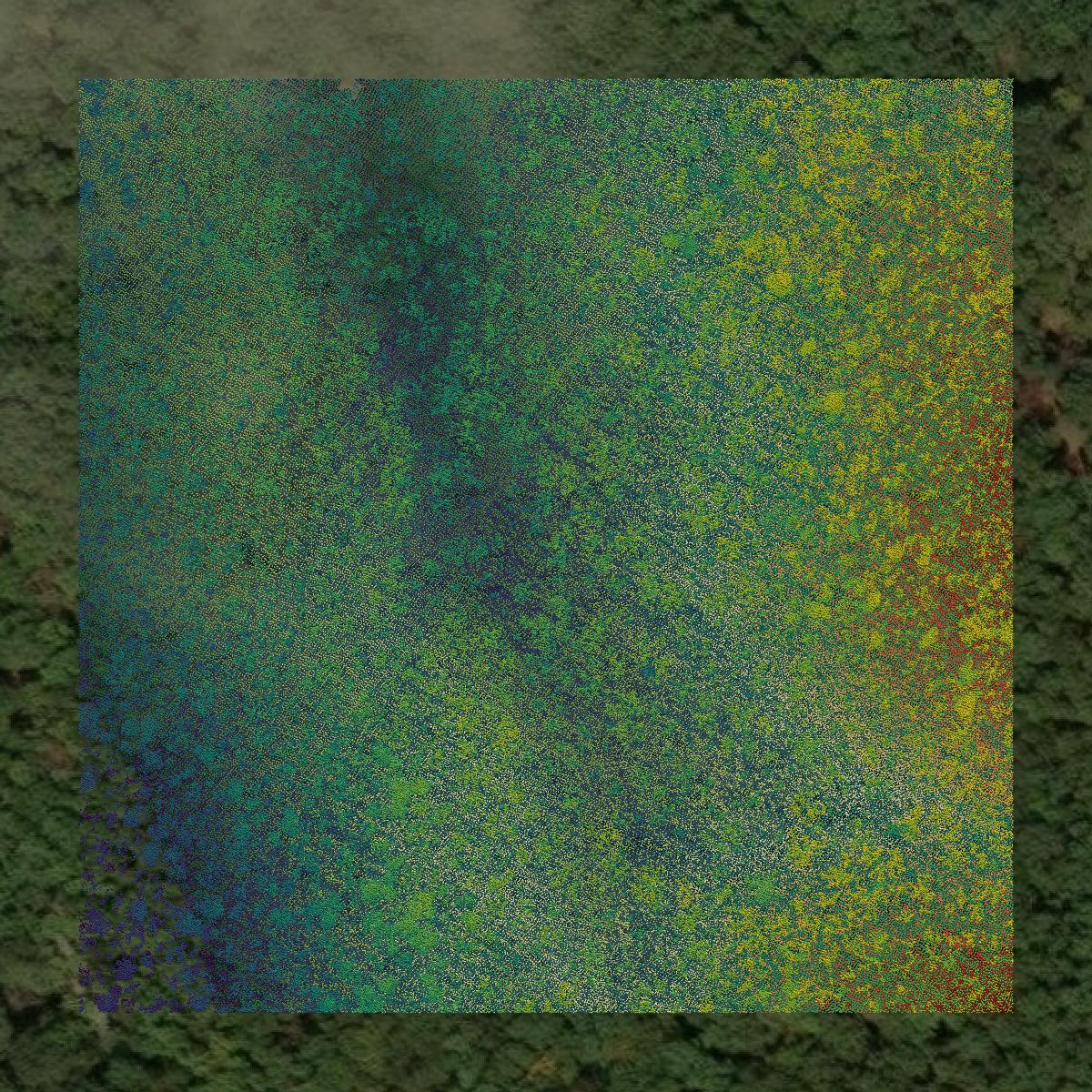 This image shows a LiDAR point cloud in Mineral County created using GIS data in Equator.