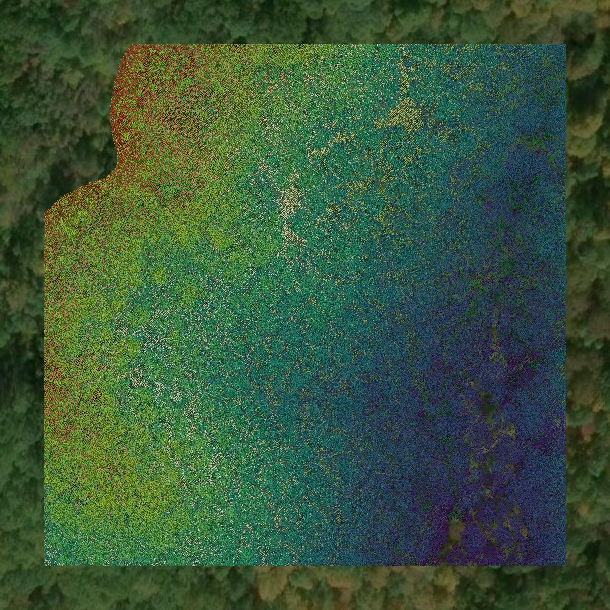 This image shows a LiDAR point cloud in Mingo County created using GIS data in Equator.