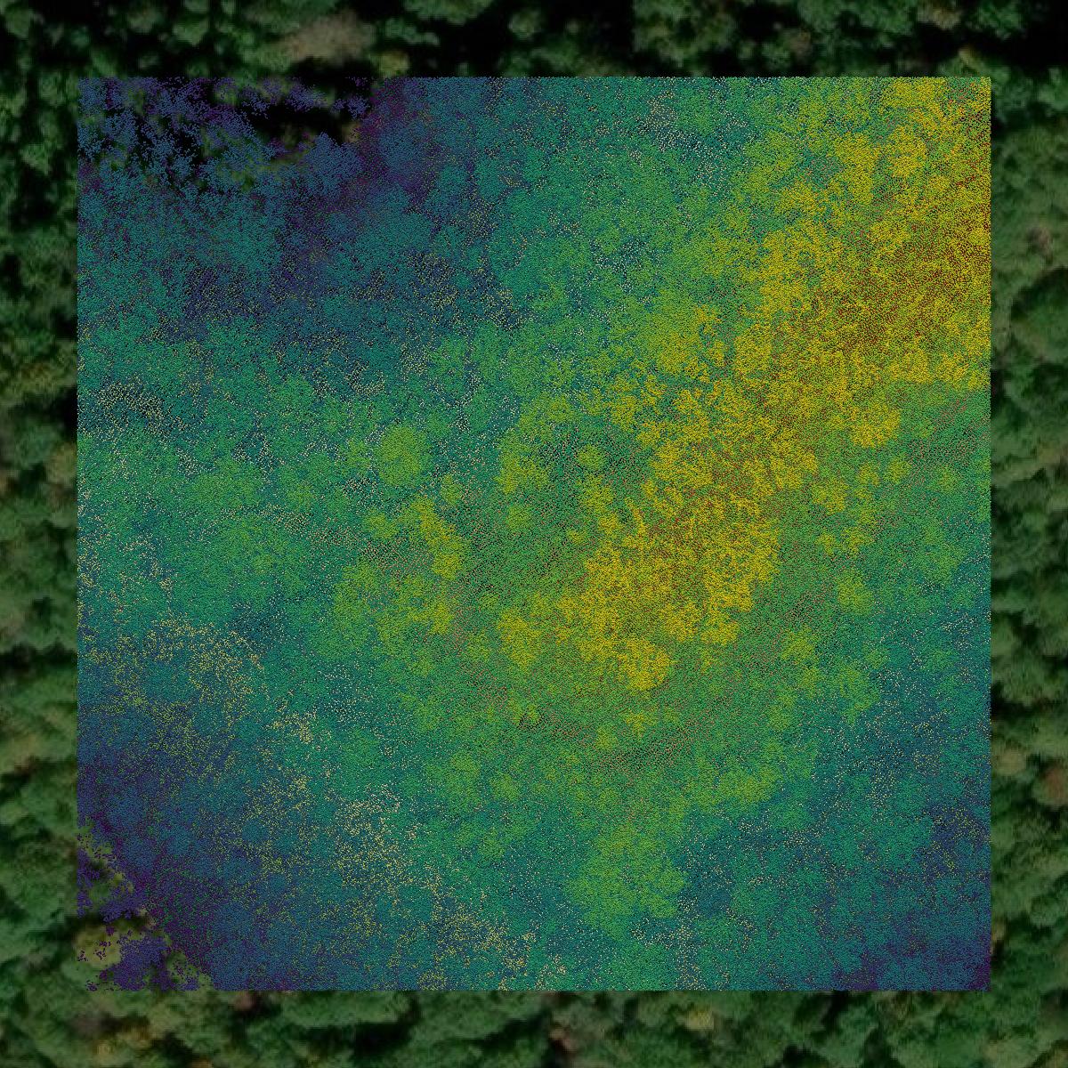 This image shows a LiDAR point cloud in Mingo County created using GIS data in Equator.