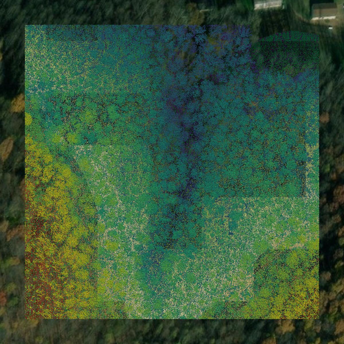 This image shows a LiDAR point cloud in Monongalia County created using GIS data in Equator.