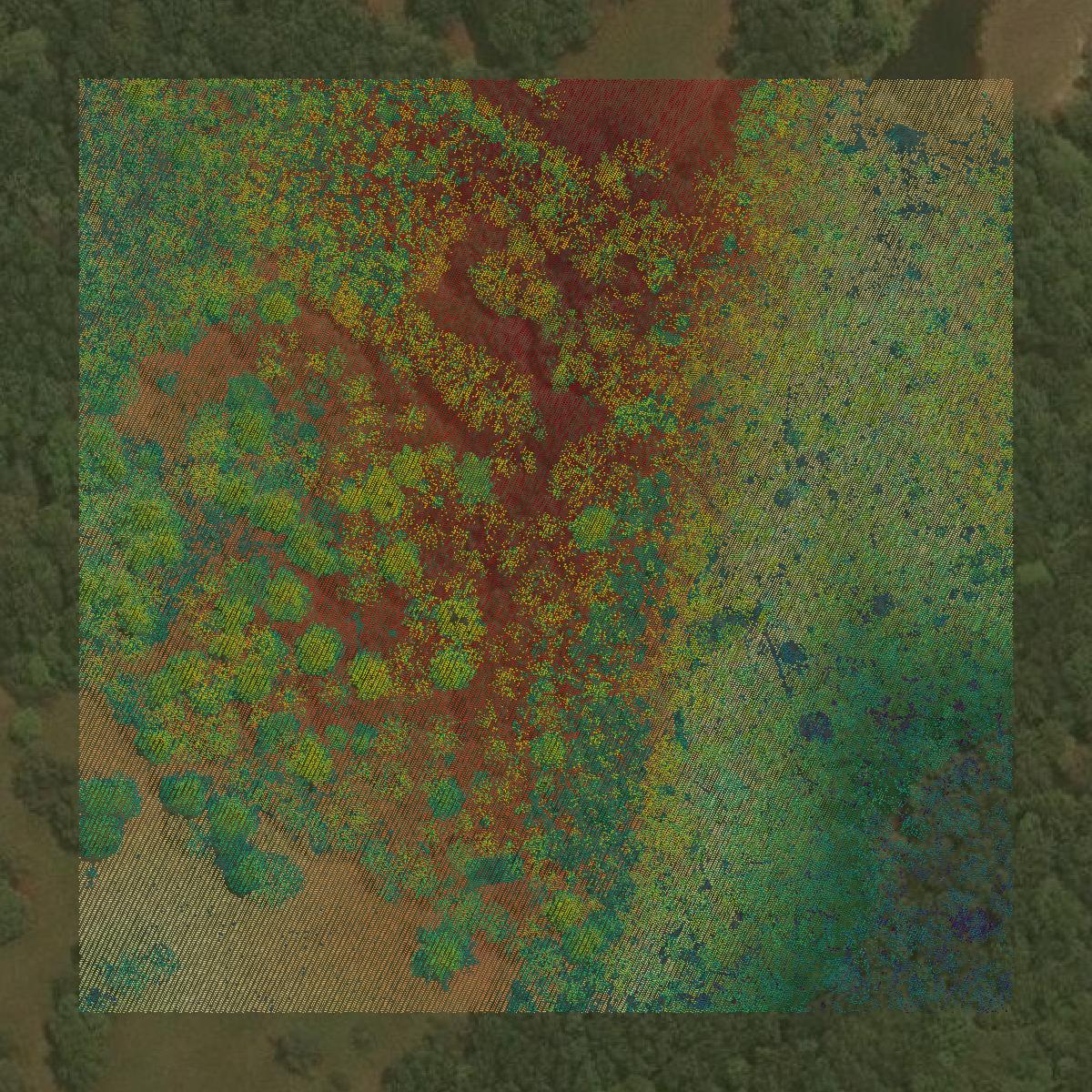 This image shows a LiDAR point cloud in Monroe County created using GIS data in Equator.