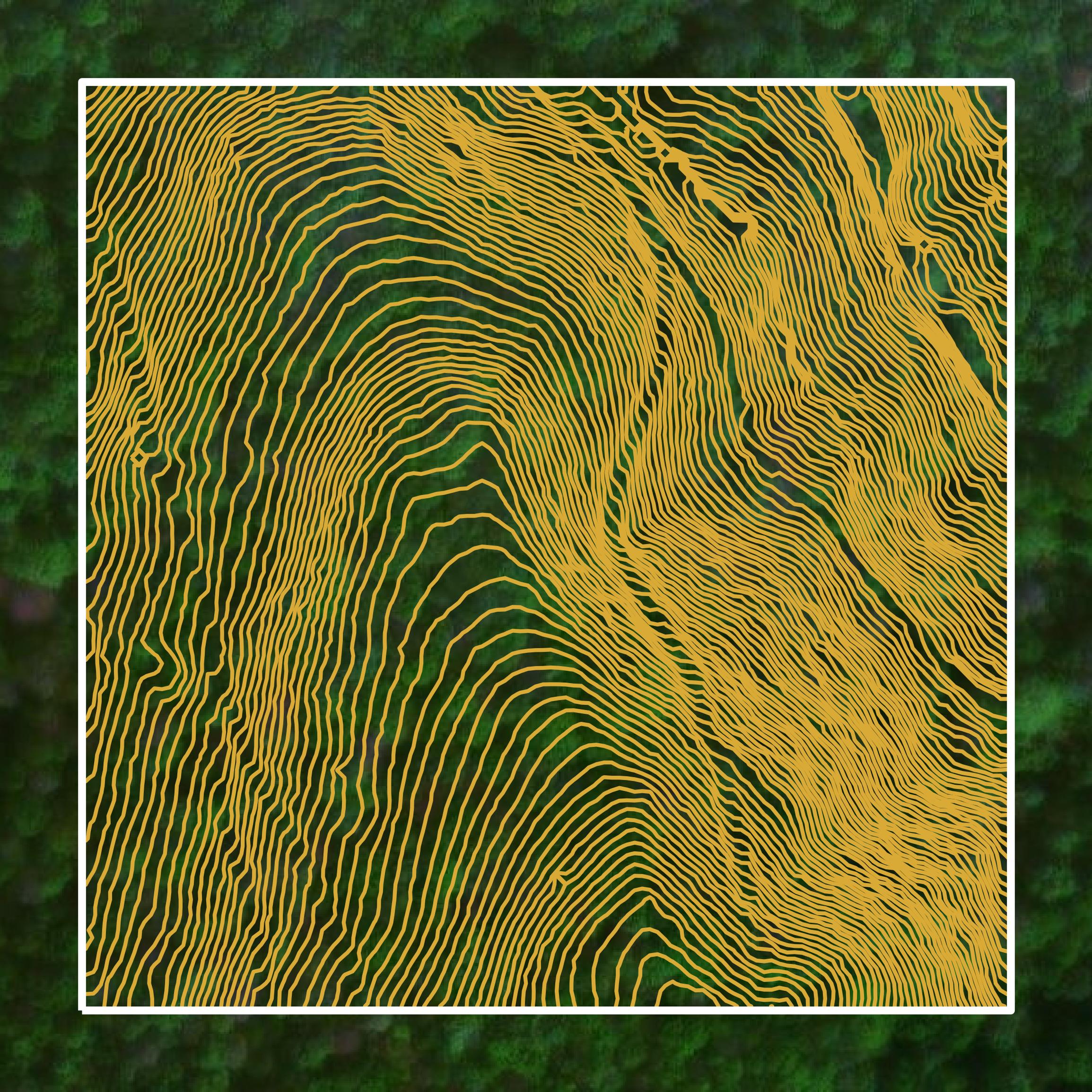 This image shows a contour map in Nicholas County created using GIS data in Equator.