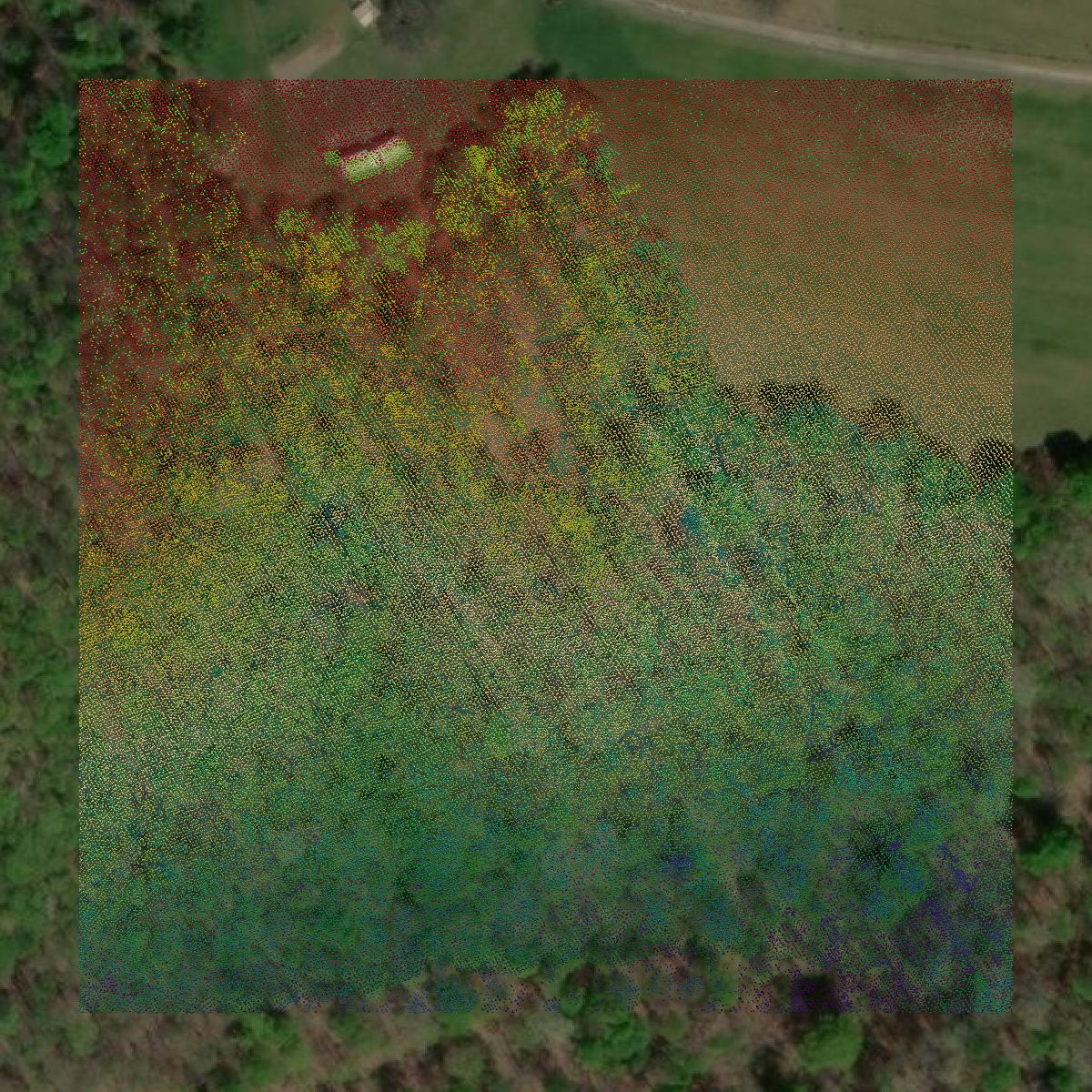 This image shows a LiDAR point cloud in Nicholas County created using GIS data in Equator.