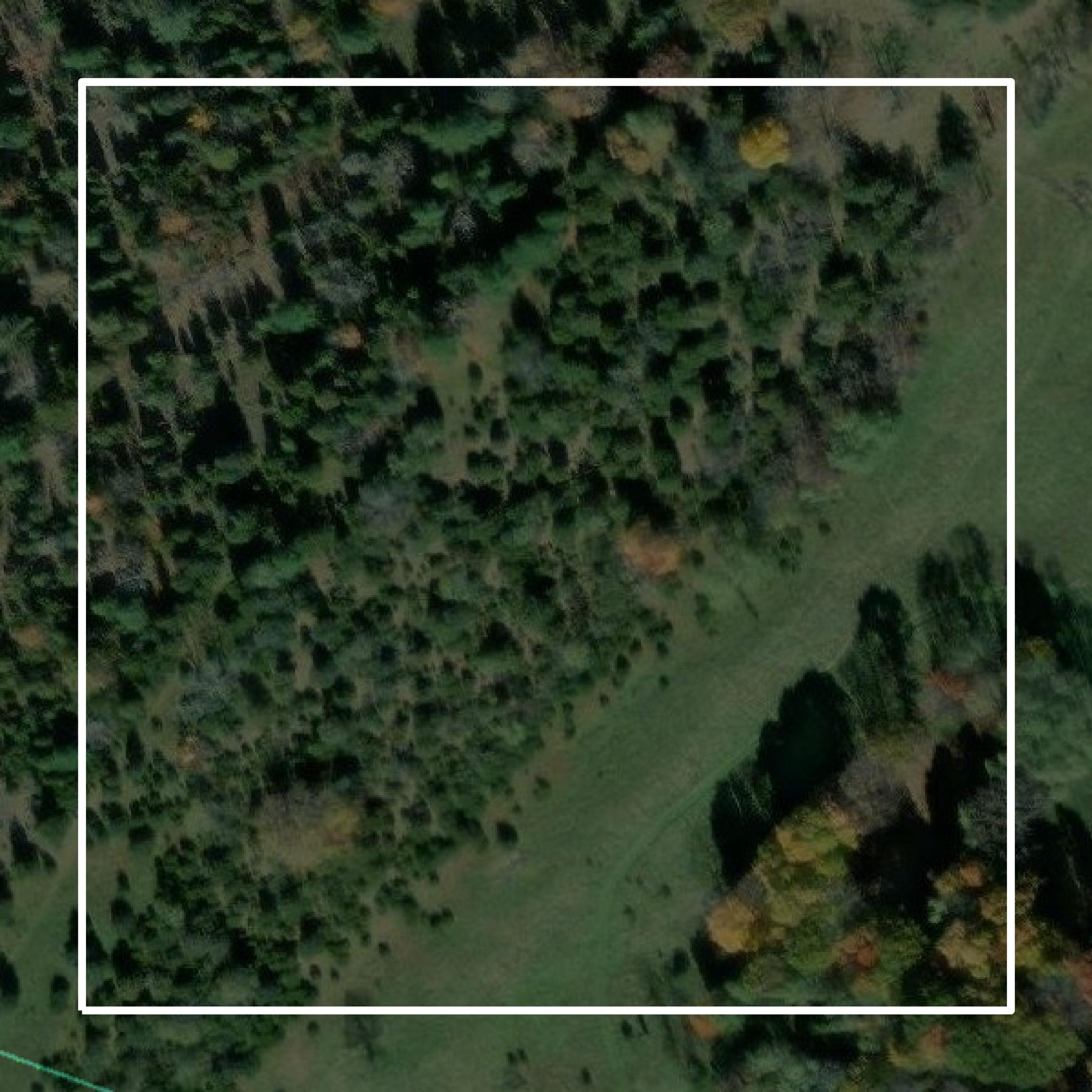 This image shows parcel and building data in Pendleton County created using GIS data in Equator.