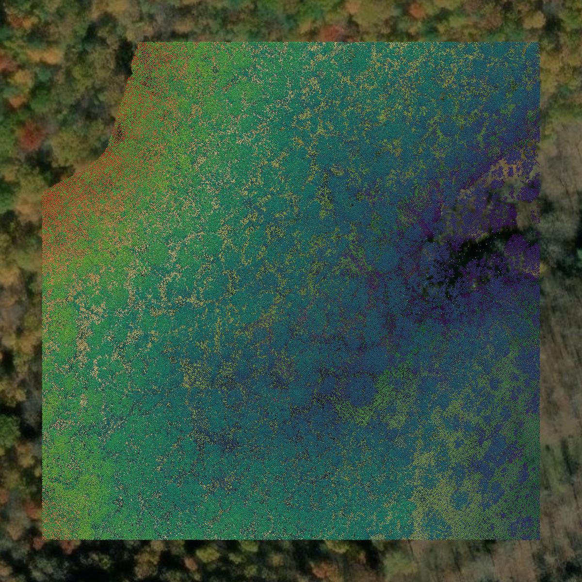 This image shows a LiDAR point cloud in Pendleton County created using GIS data in Equator.