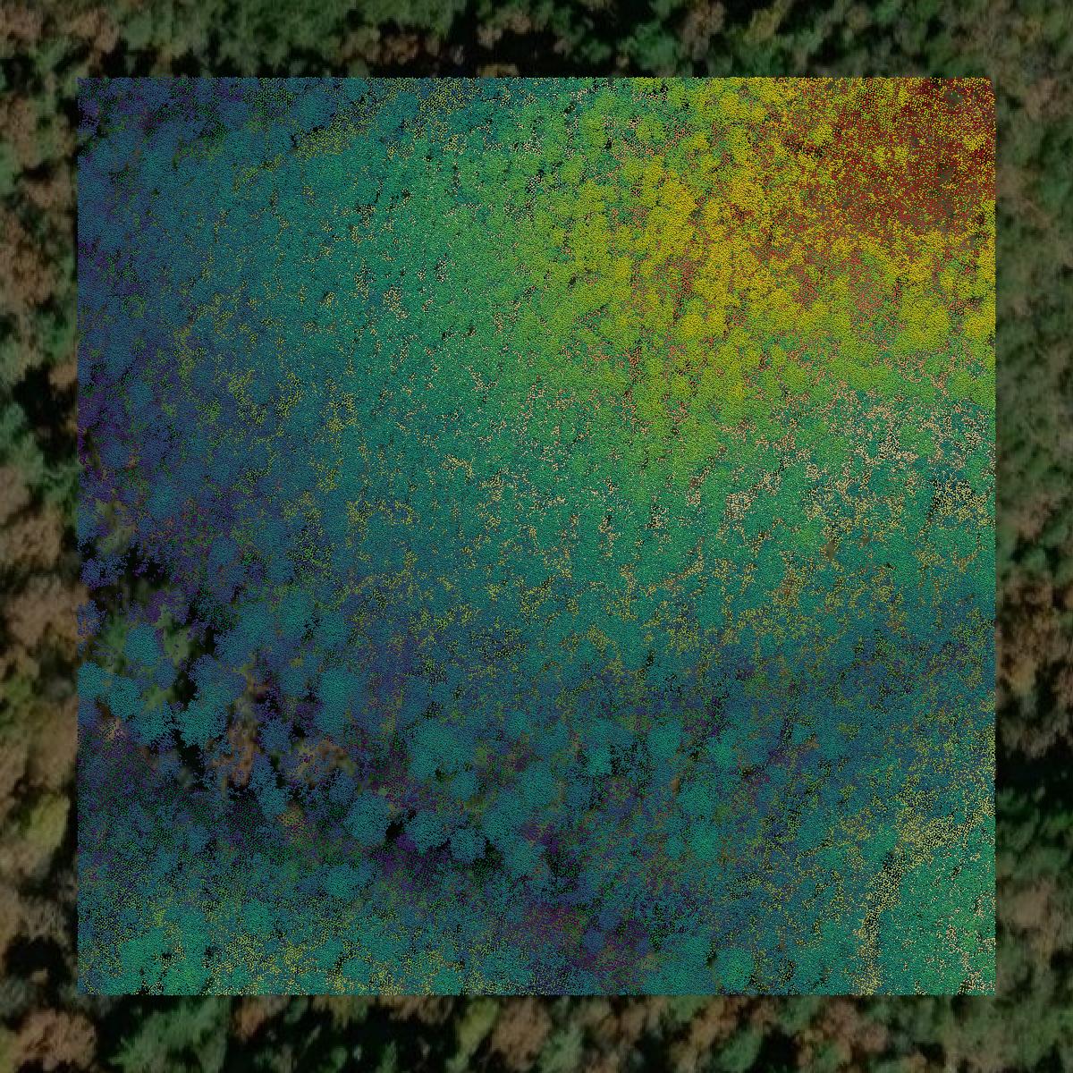 This image shows a LiDAR point cloud in Pendleton County created using GIS data in Equator.