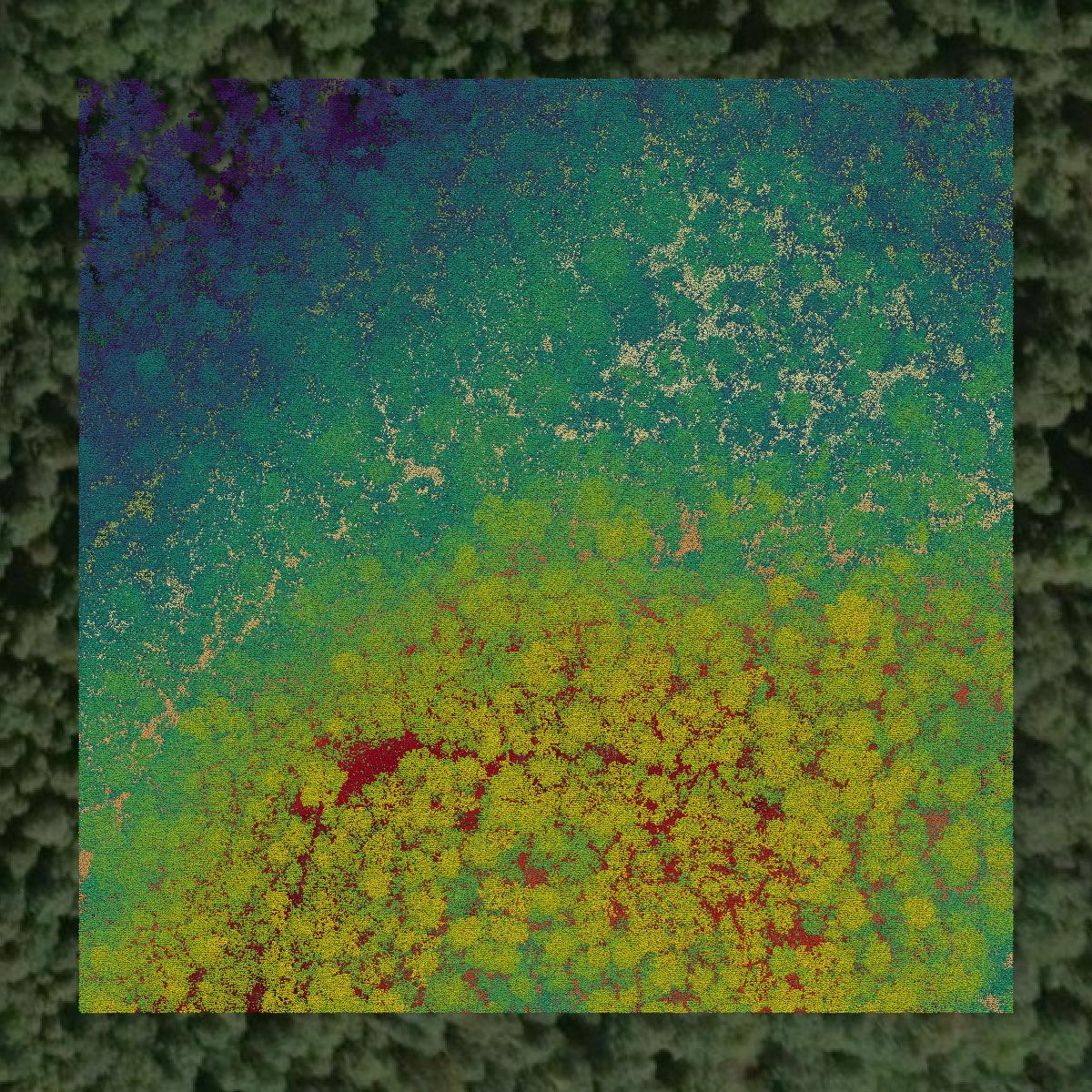 This image shows a LiDAR point cloud in Pleasants County created using GIS data in Equator.