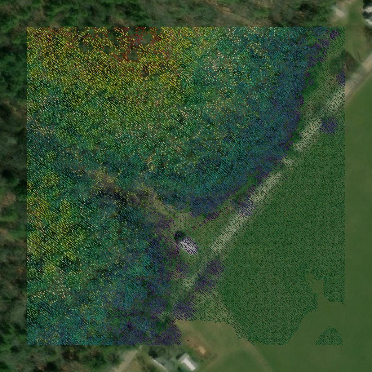 This image shows a LiDAR point cloud in Pocahontas County created using GIS data in Equator.