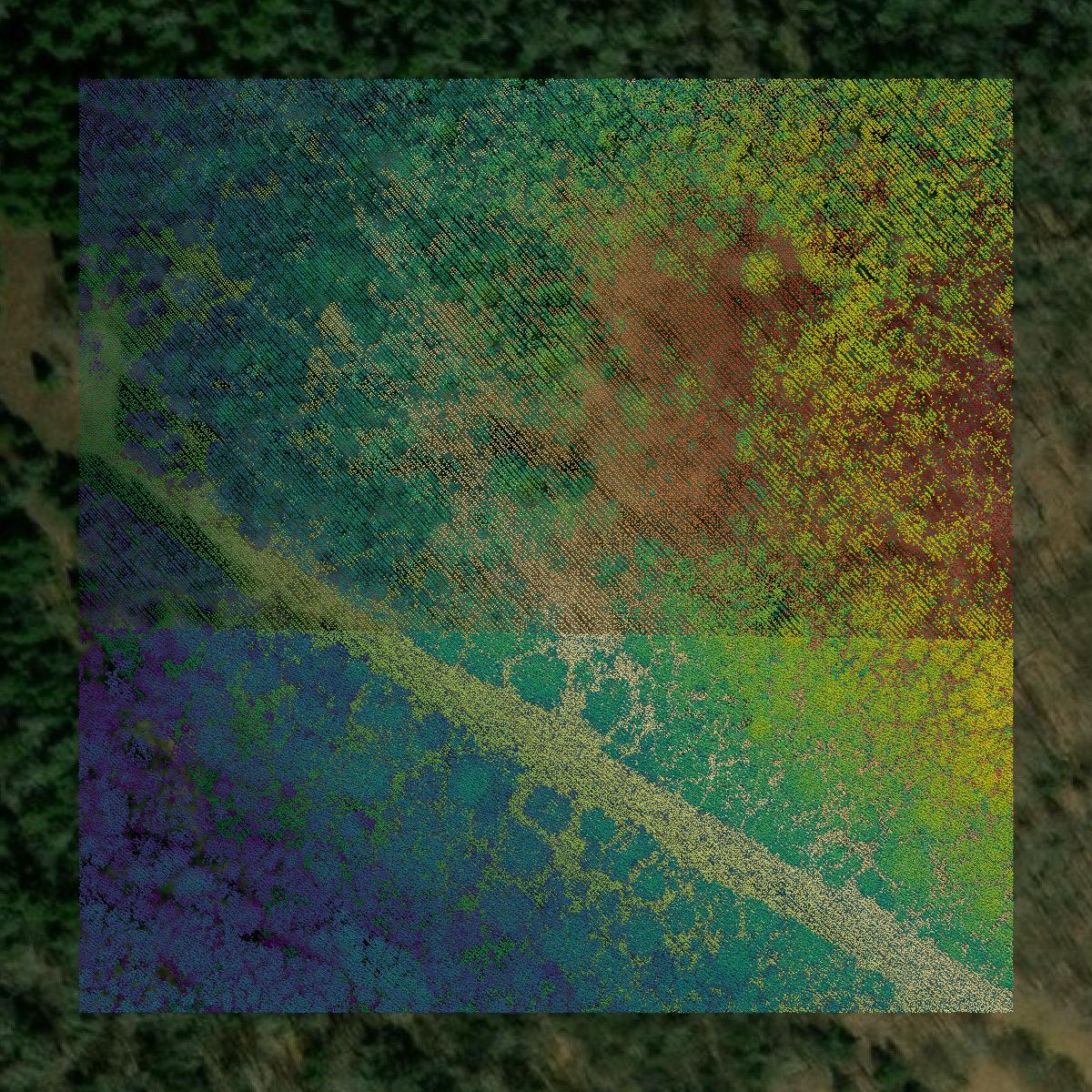 This image shows a LiDAR point cloud in Pocahontas County created using GIS data in Equator.