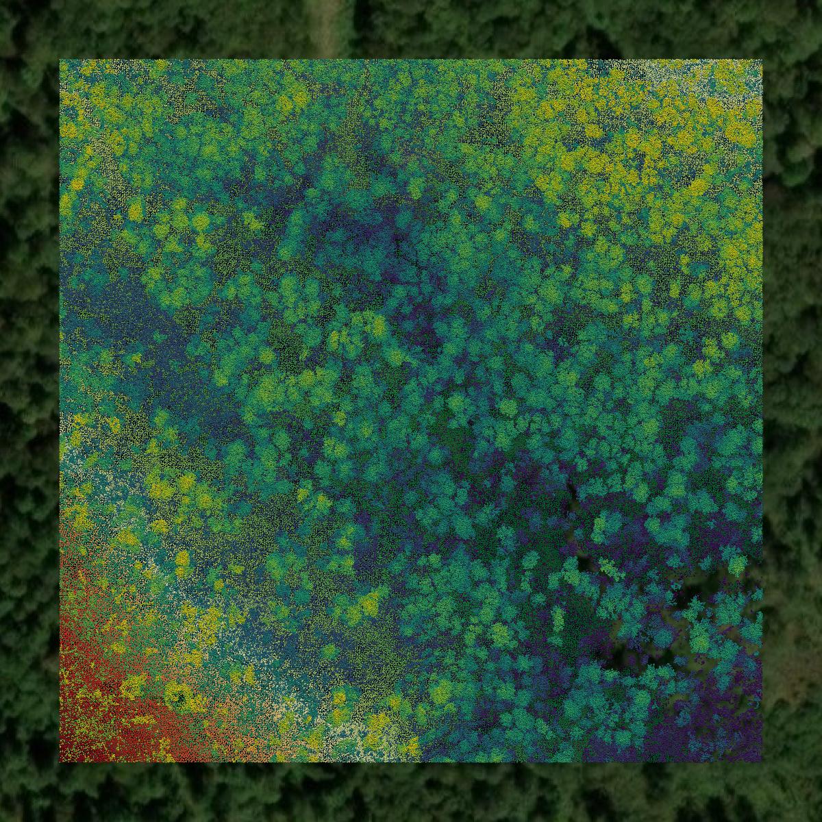 This image shows a LiDAR point cloud in Preston County created using GIS data in Equator.