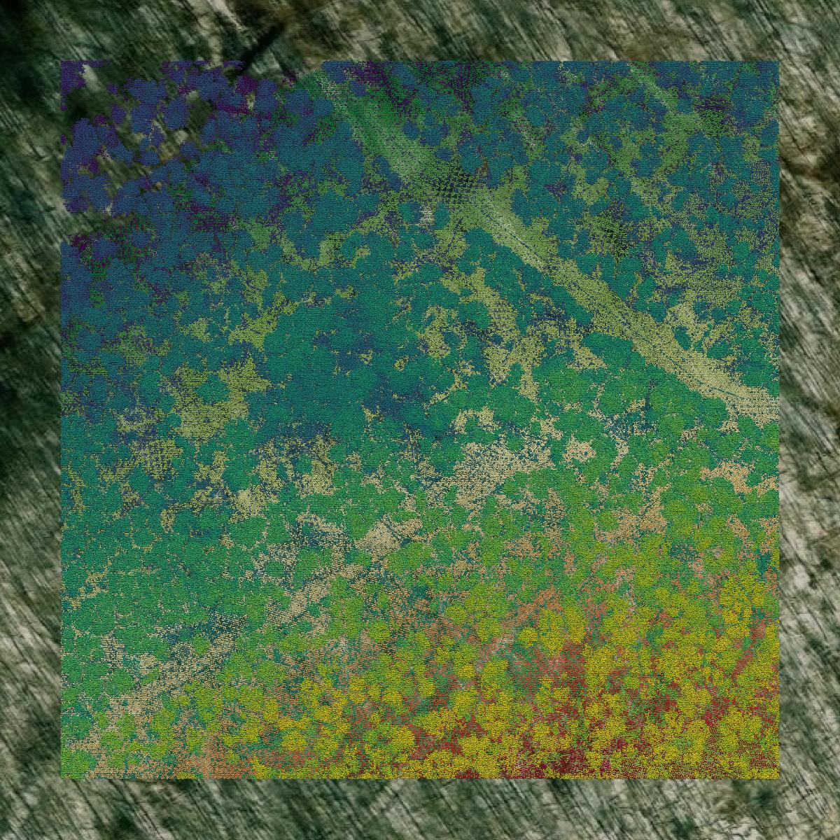 This image shows a LiDAR point cloud in Preston County created using GIS data in Equator.