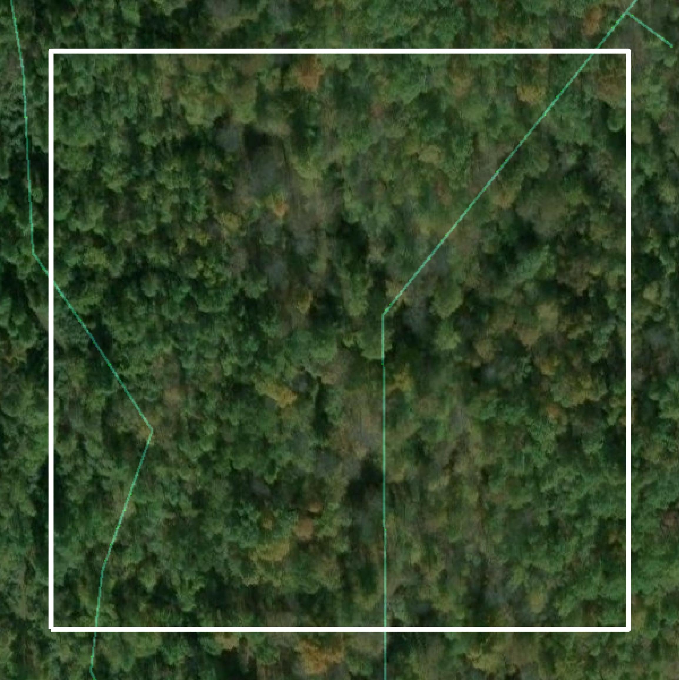 This image shows parcel and building data in Putnam County created using GIS data in Equator.