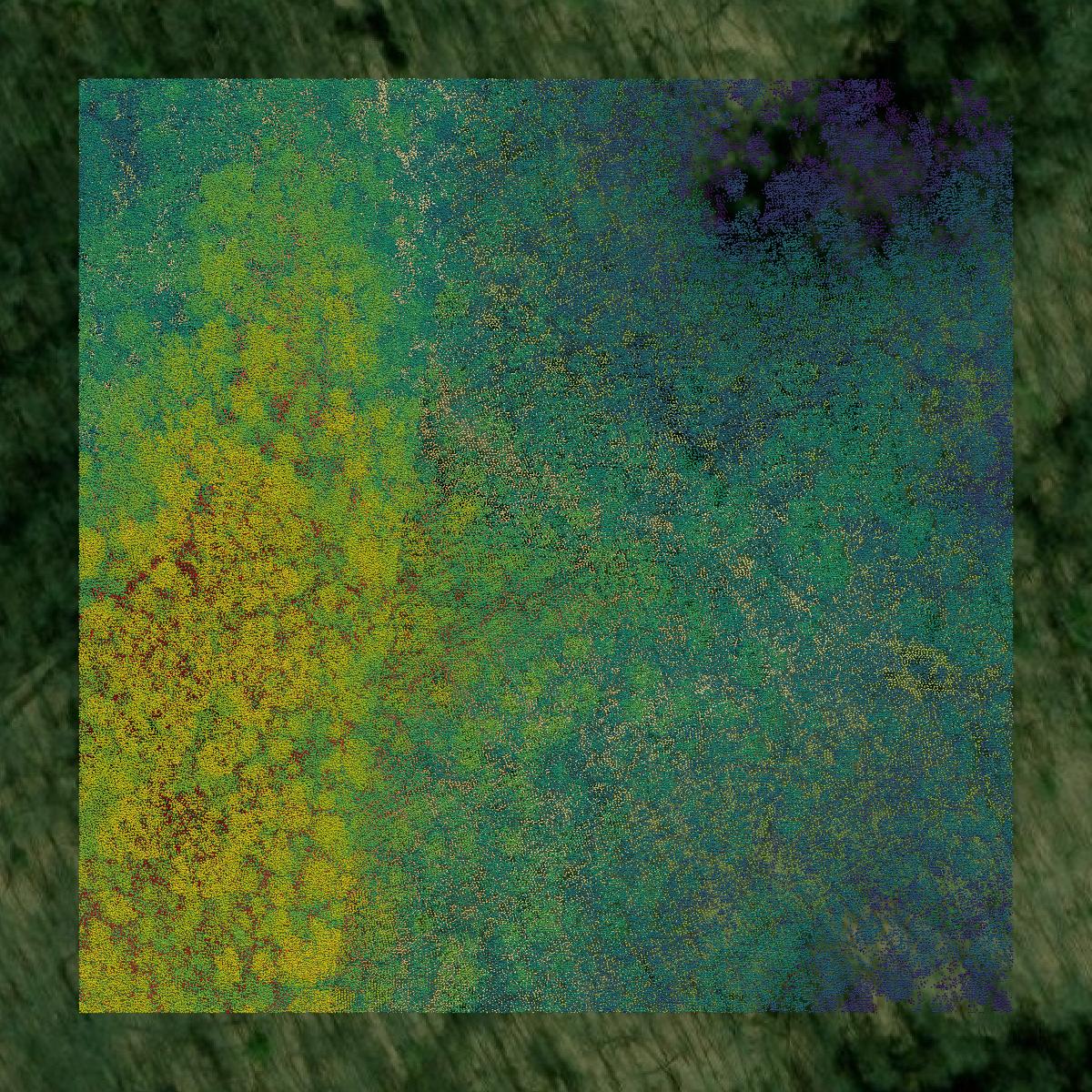 This image shows a LiDAR point cloud in Putnam County created using GIS data in Equator.