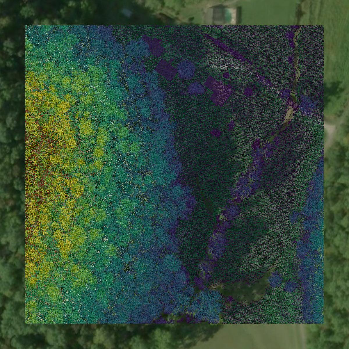 This image shows a LiDAR point cloud in Putnam County created using GIS data in Equator.