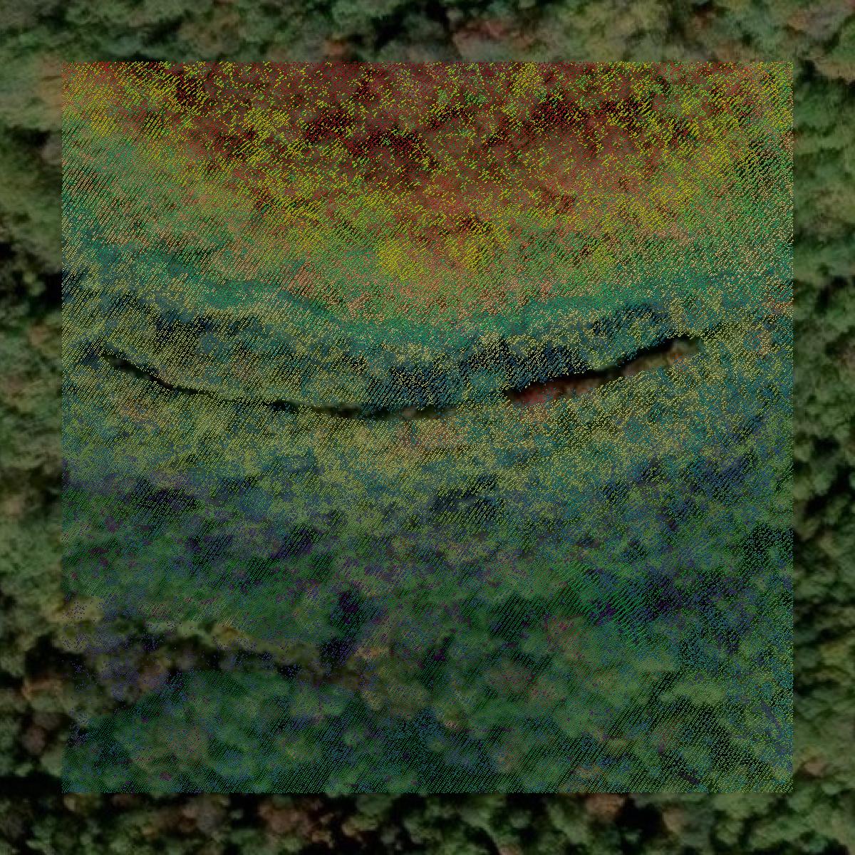 This image shows a LiDAR point cloud in Raleigh County created using GIS data in Equator.