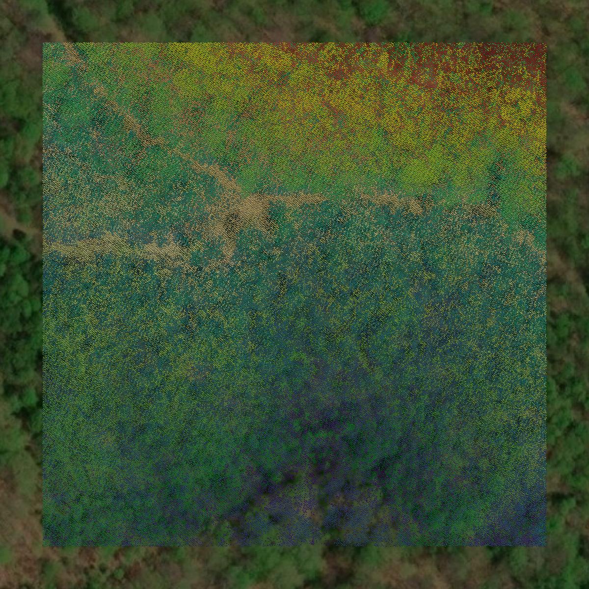 This image shows a LiDAR point cloud in Randolph County created using GIS data in Equator.
