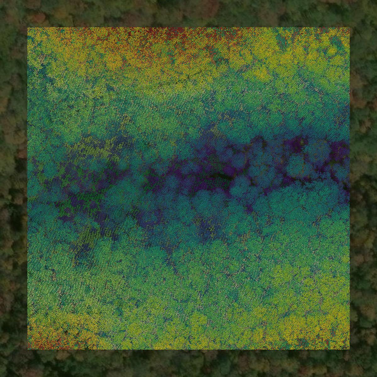 This image shows a LiDAR point cloud in Randolph County created using GIS data in Equator.