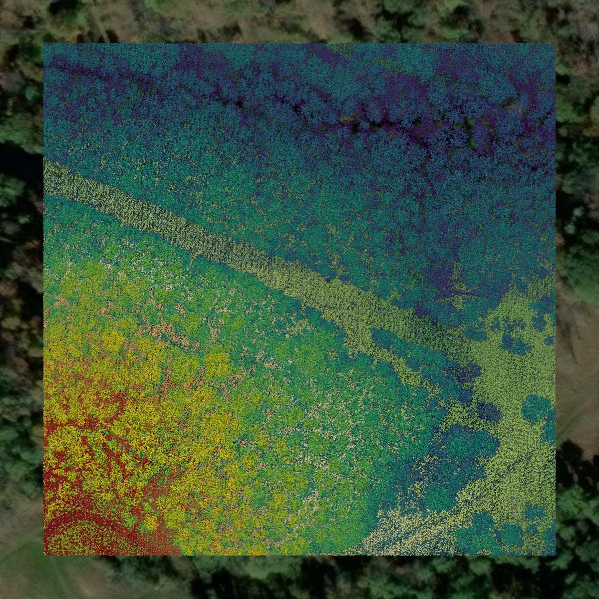 This image shows a LiDAR point cloud in Ritchie County created using GIS data in Equator.