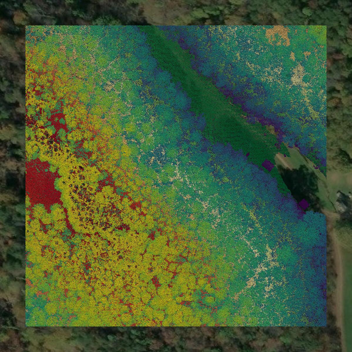 This image shows a LiDAR point cloud in Ritchie County created using GIS data in Equator.