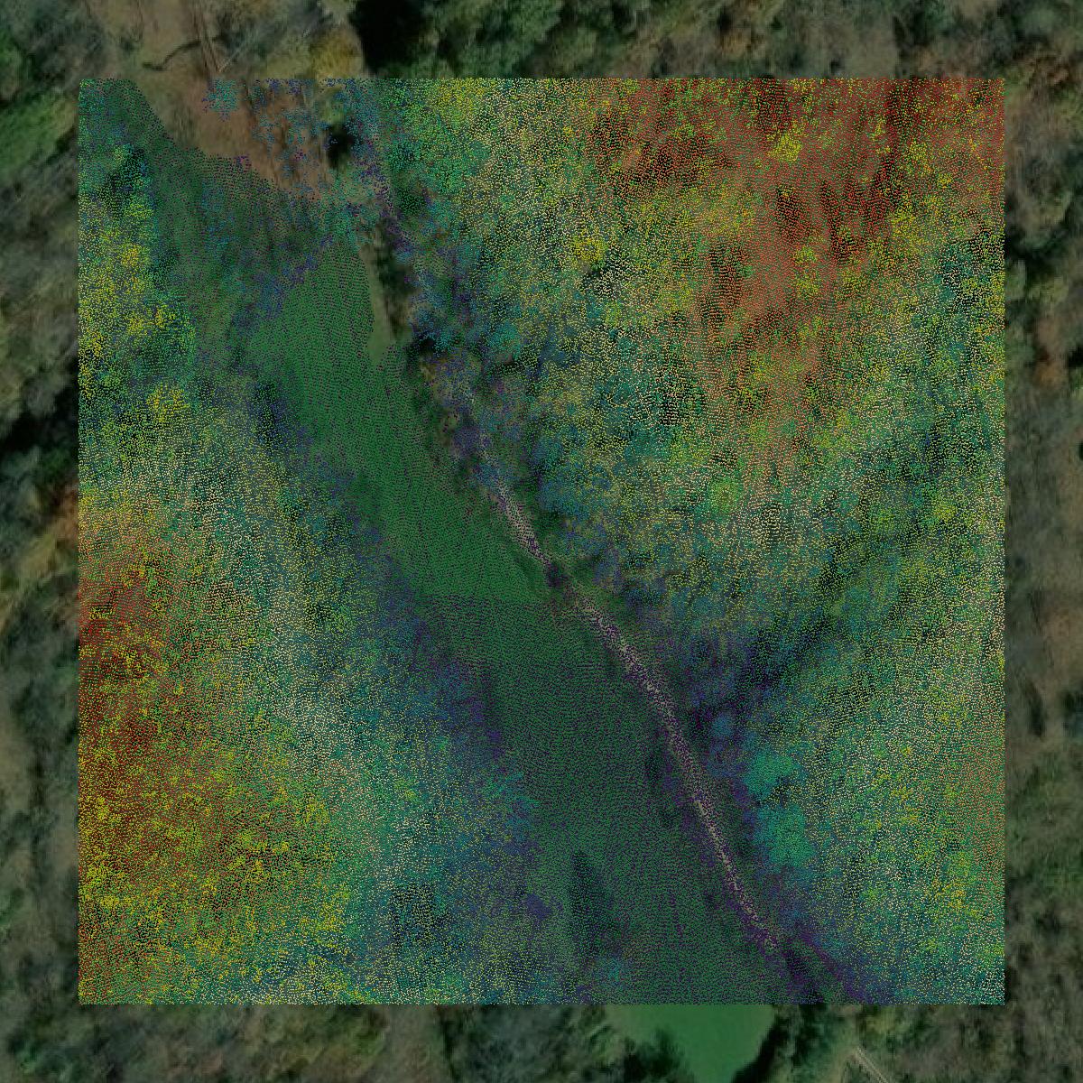 This image shows a LiDAR point cloud in Roane County created using GIS data in Equator.