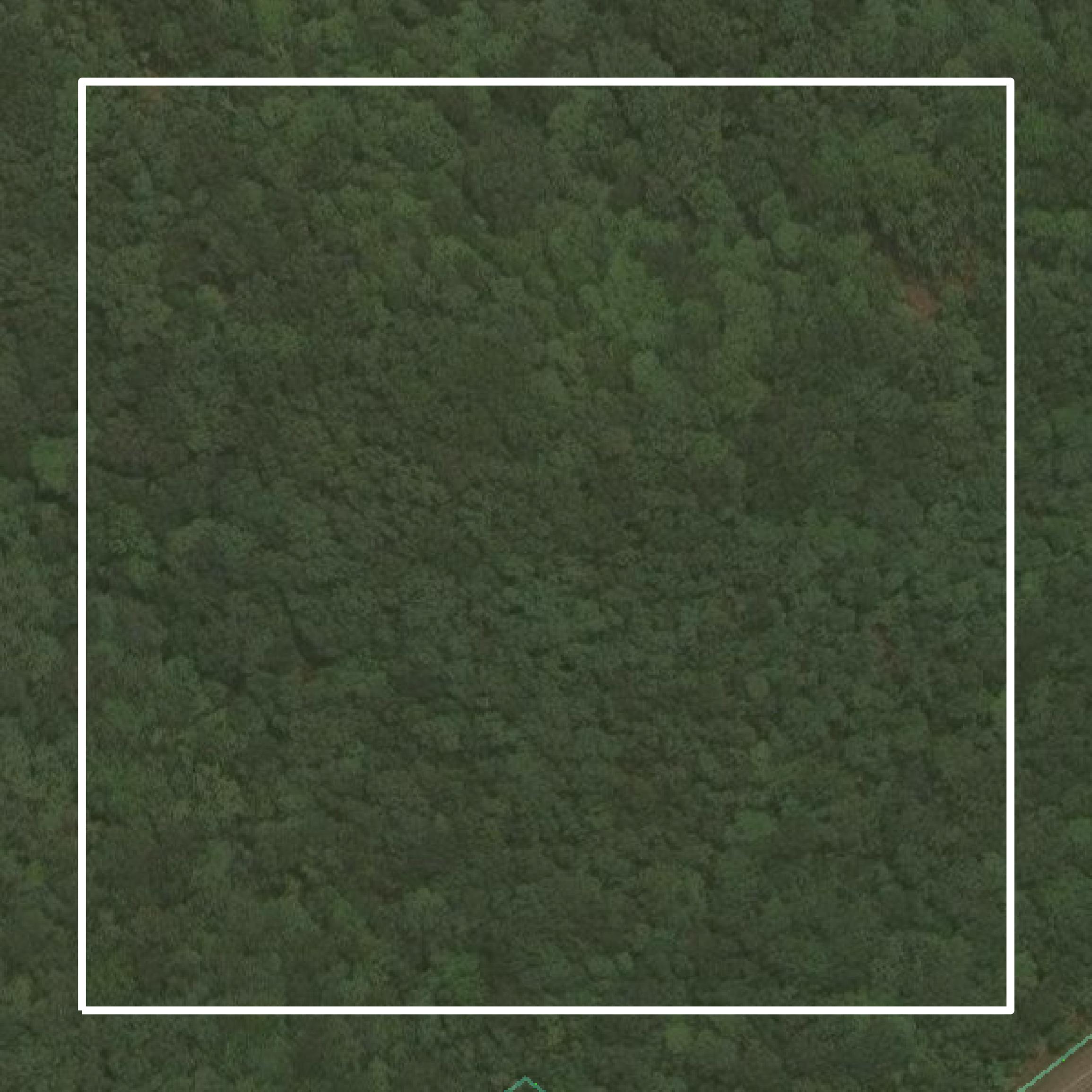 This image shows parcel and building data in Summers County created using GIS data in Equator.