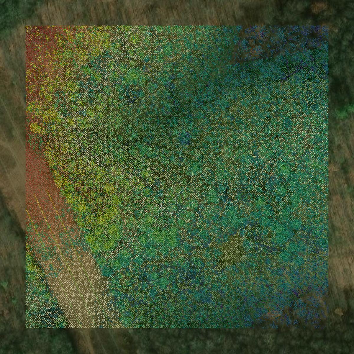 This image shows a LiDAR point cloud in Summers County created using GIS data in Equator.