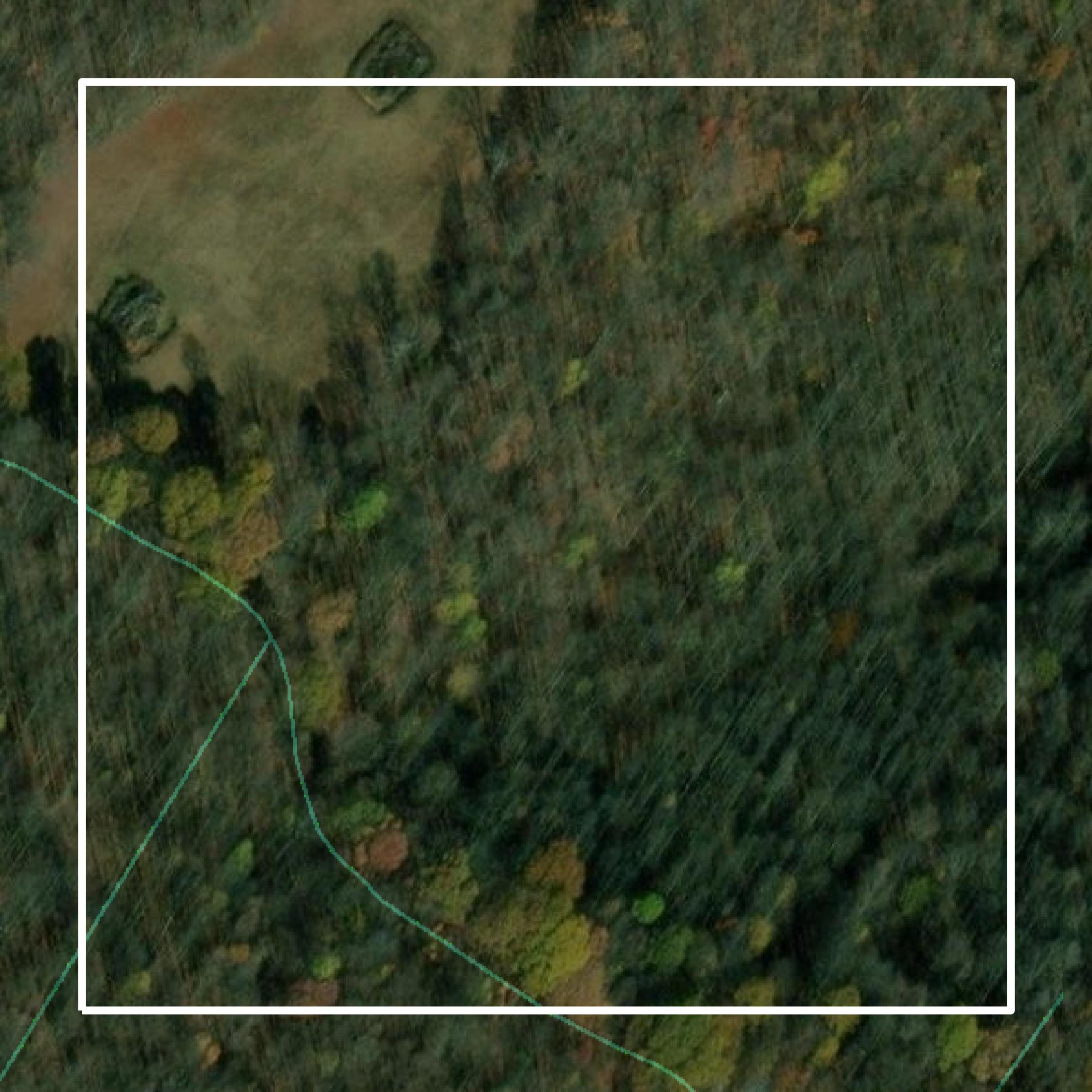 This image shows parcel and building data in Taylor County created using GIS data in Equator.