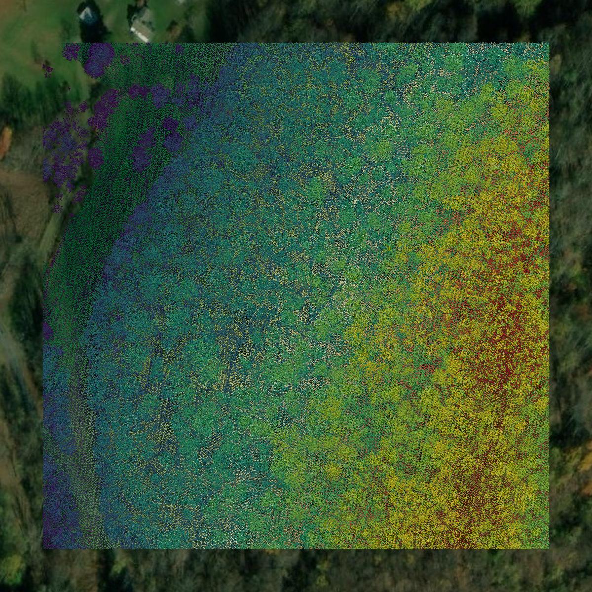 This image shows a LiDAR point cloud in Taylor County created using GIS data in Equator.
