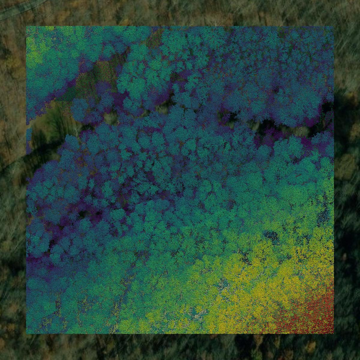 This image shows a LiDAR point cloud in Taylor County created using GIS data in Equator.