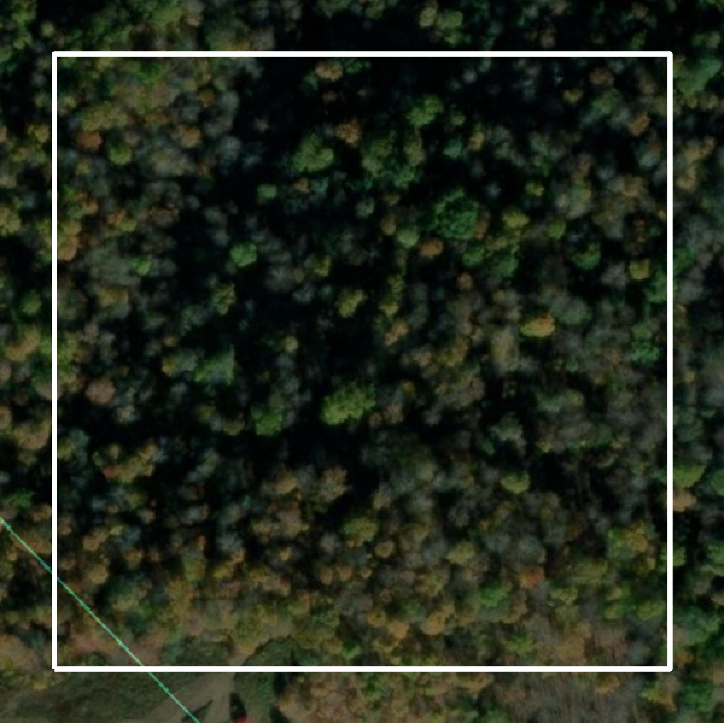 This image shows parcel and building data in Tucker County created using GIS data in Equator.