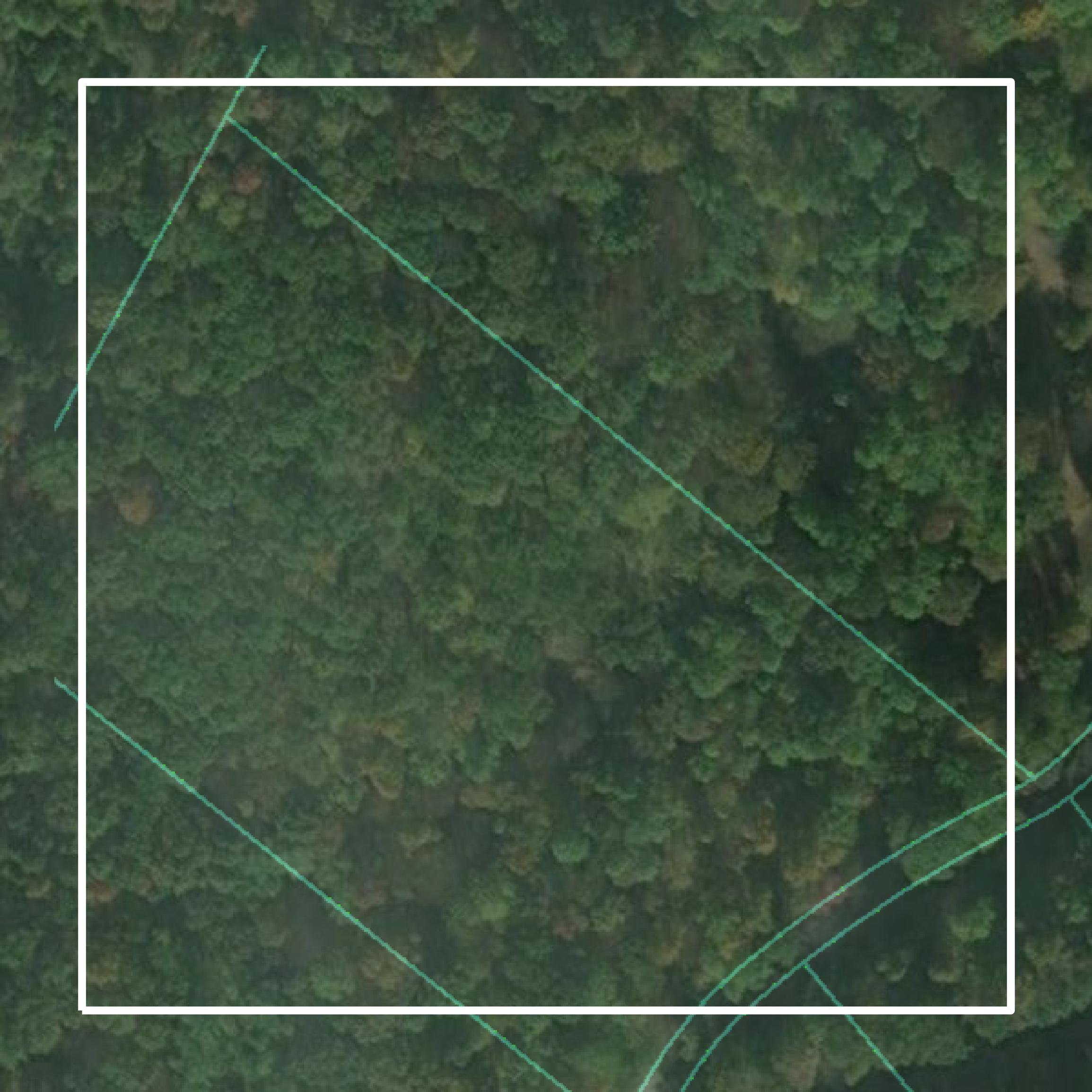 This image shows parcel and building data in Tyler County created using GIS data in Equator.