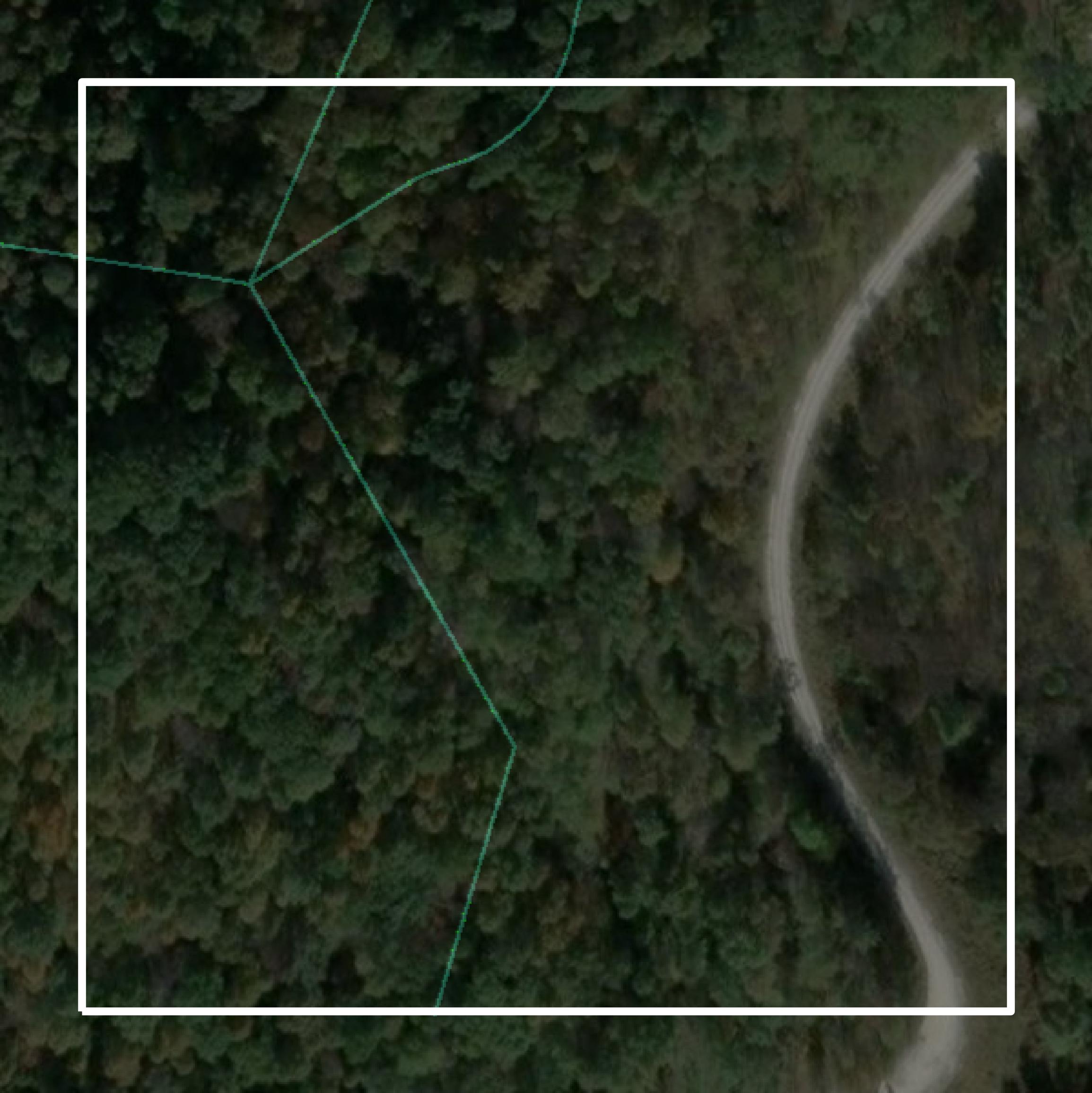 This image shows parcel and building data in Tyler County created using GIS data in Equator.