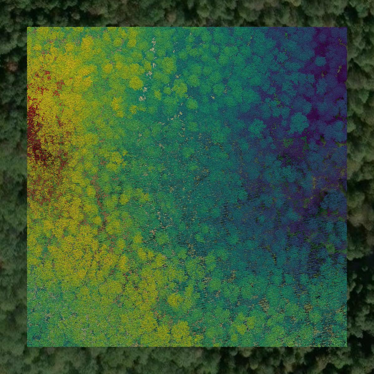 This image shows a LiDAR point cloud in Tyler County created using GIS data in Equator.