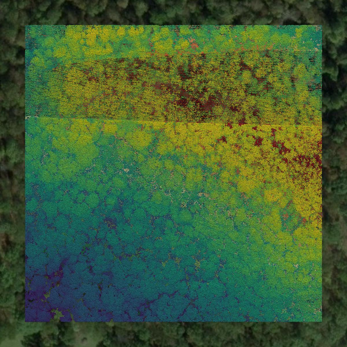 This image shows a LiDAR point cloud in Tyler County created using GIS data in Equator.