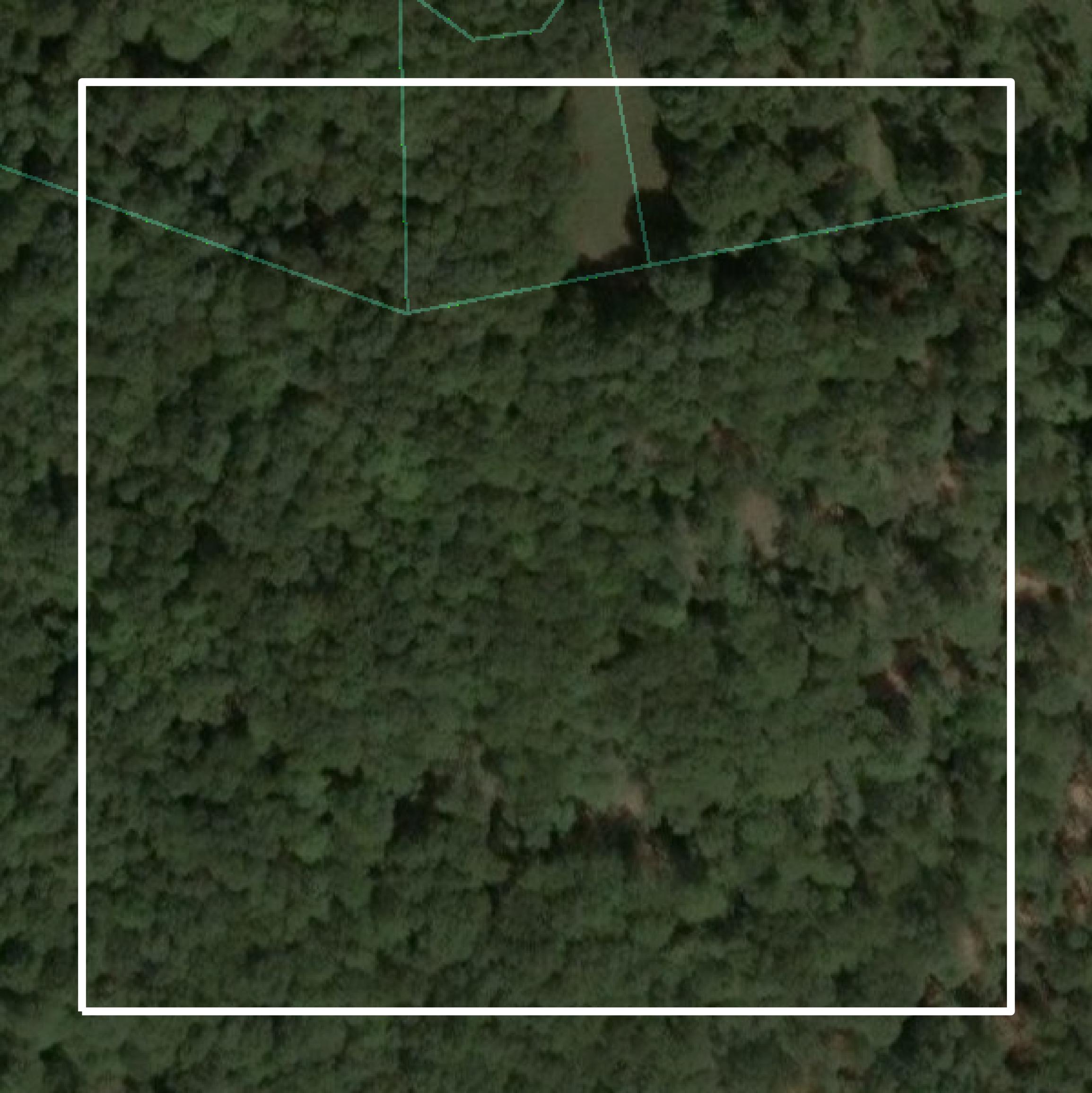 This image shows parcel and building data in Upshur County created using GIS data in Equator.